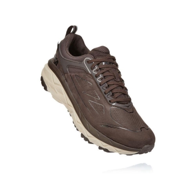 Men's Hoka Challenger Low GORE-TEX Hiking Shoes Brown / White | ZA-64SNXWY