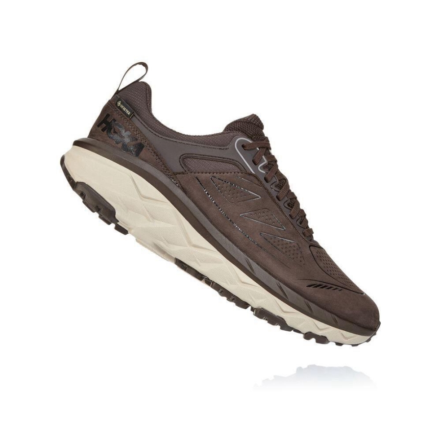 Men's Hoka Challenger Low GORE-TEX Hiking Shoes Brown / White | ZA-64SNXWY