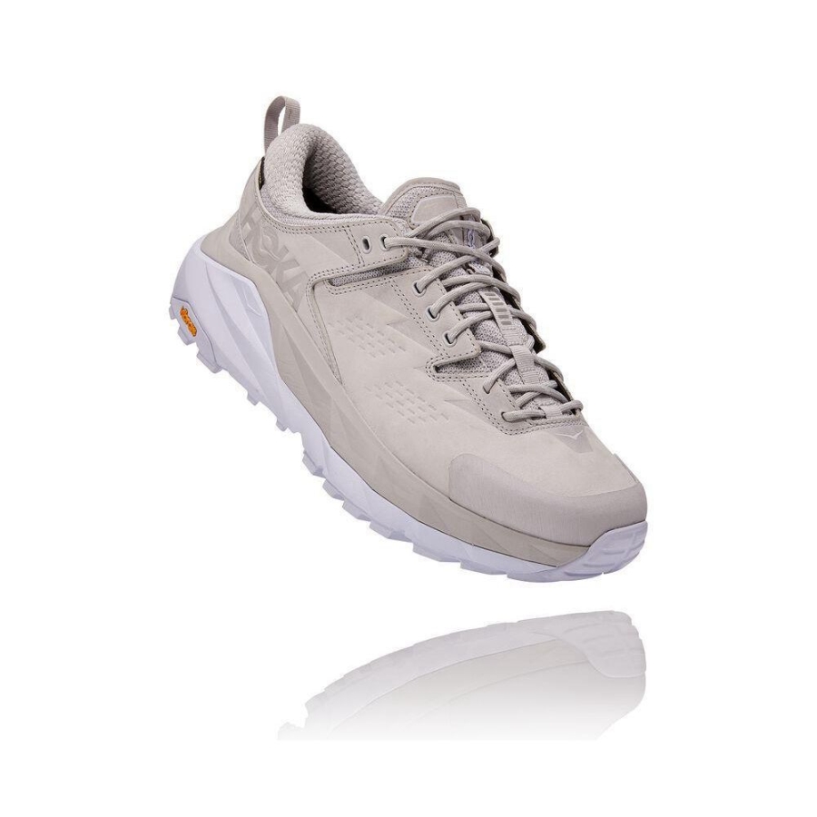 Men\'s Hoka Kaha Low GTX Hiking Shoes Grey | ZA-01MBEHX