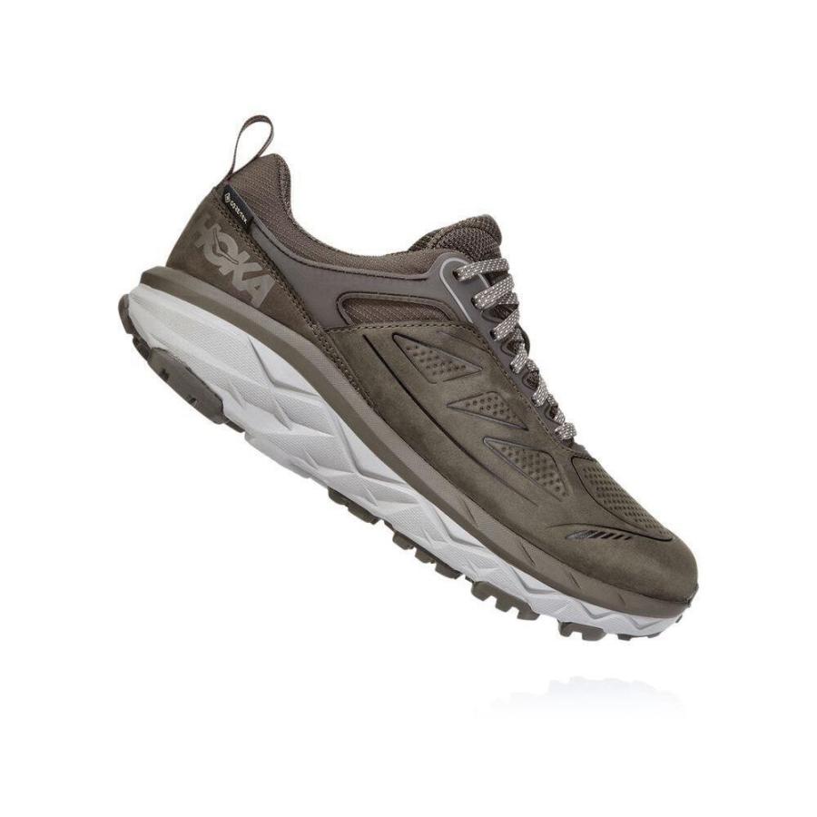 Women's Hoka Challenger Low GORE-TEX Hiking Shoes Brown | ZA-12DSNAK