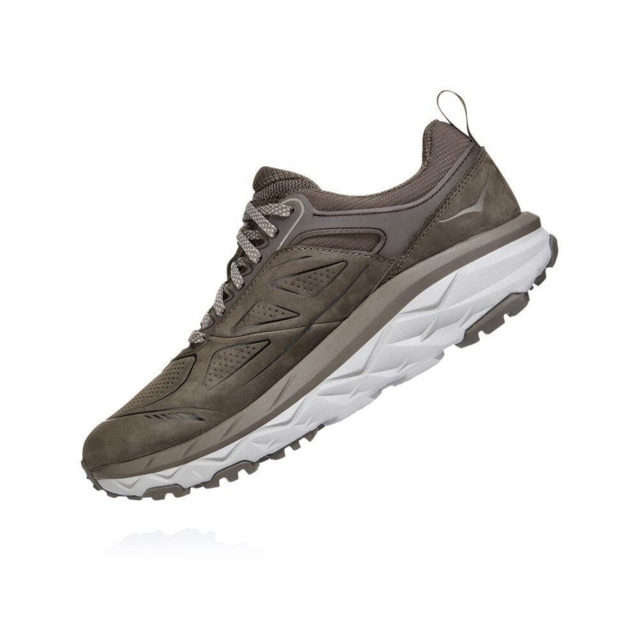 Women's Hoka Challenger Low GORE-TEX Hiking Shoes Brown | ZA-12DSNAK